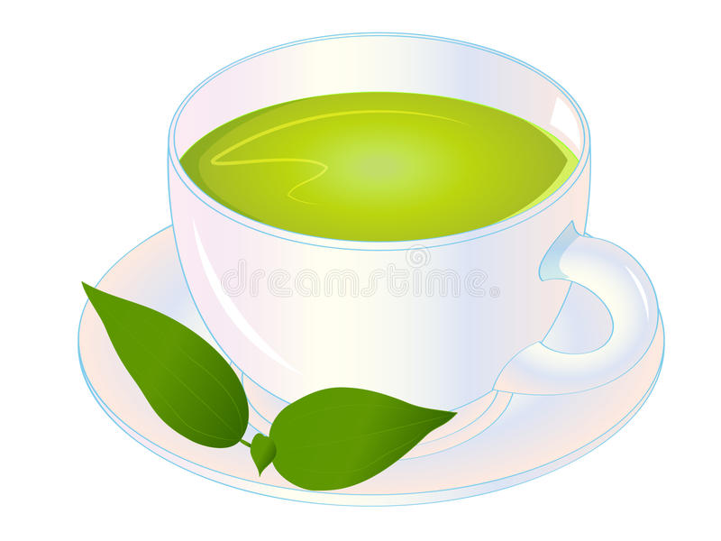Detail Green Tea Vector Png Nomer 21