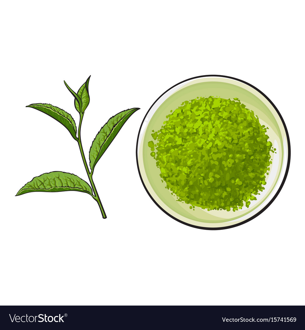Detail Green Tea Vector Png Nomer 22