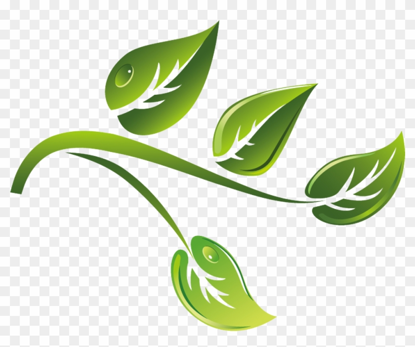 Detail Green Tea Vector Png Nomer 33