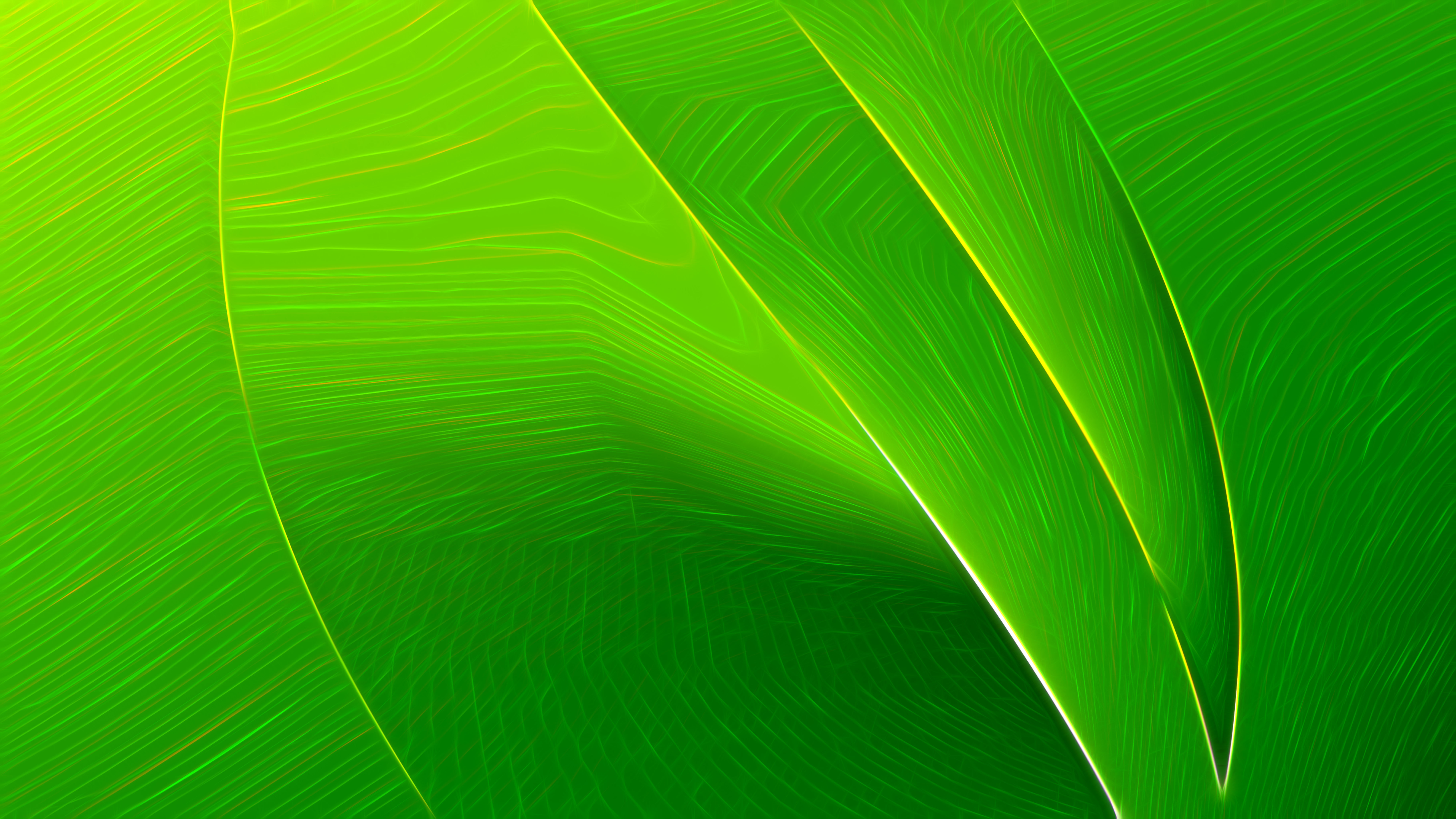 Detail Green Texture Background Nomer 17