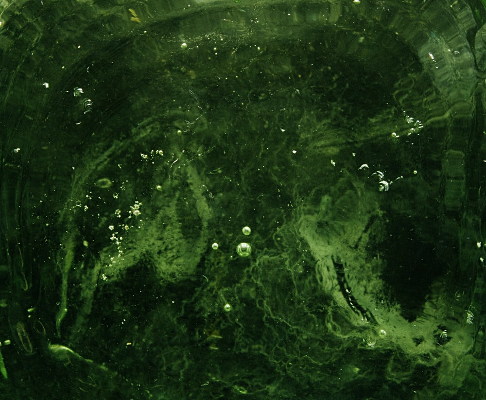 Detail Green Texture Background Nomer 40