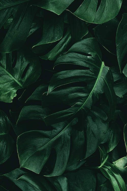 Detail Green Tumblr Background Nomer 16