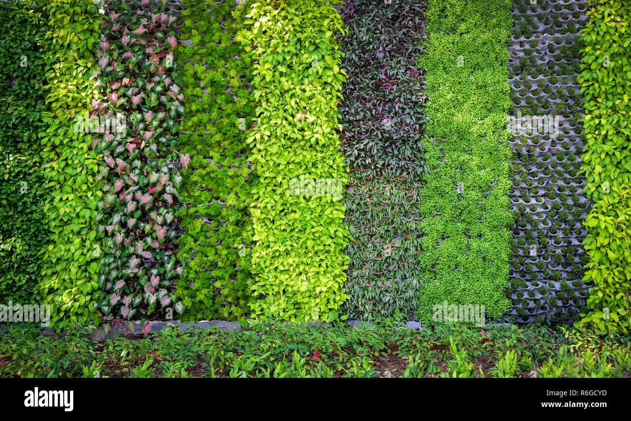 Detail Green Wall Texture Nomer 23