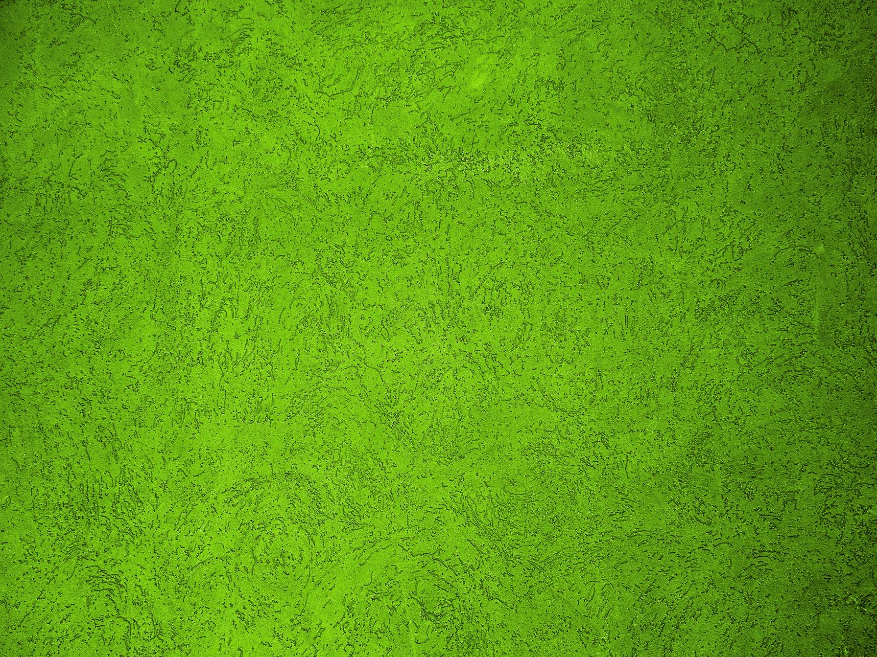 Detail Green Wall Texture Nomer 28