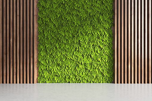Detail Green Wall Texture Nomer 4