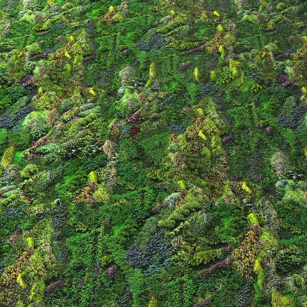 Detail Green Wall Texture Nomer 46