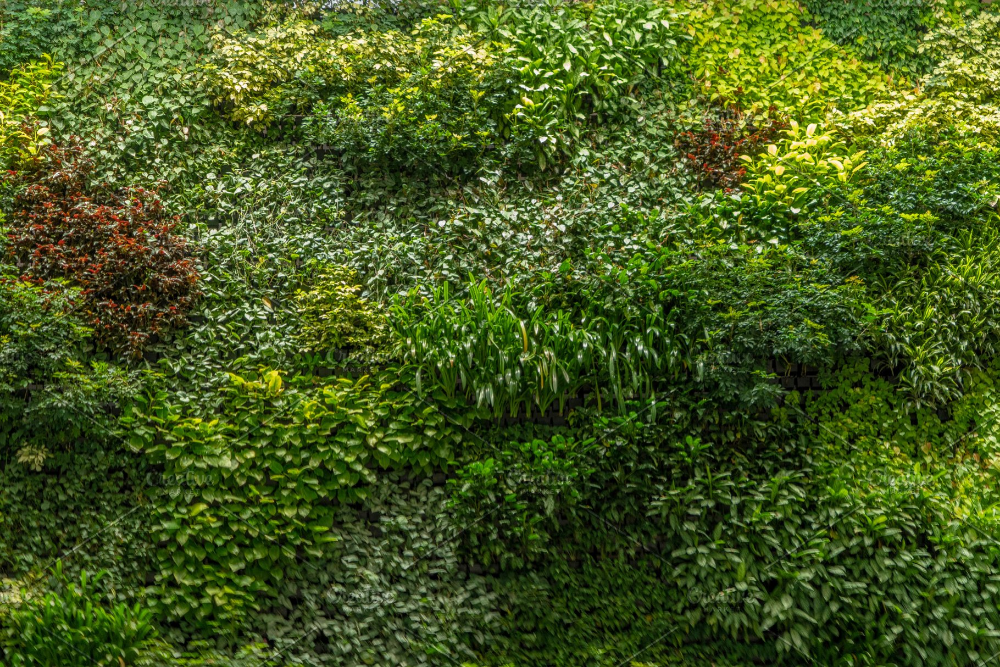 Detail Green Wall Texture Nomer 6