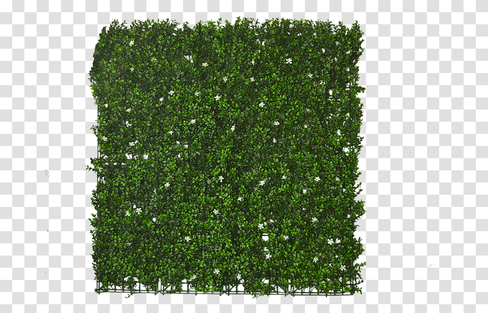 Detail Green Wall Texture Nomer 55