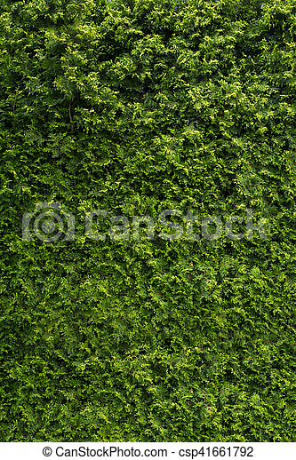 Detail Green Wall Texture Nomer 9