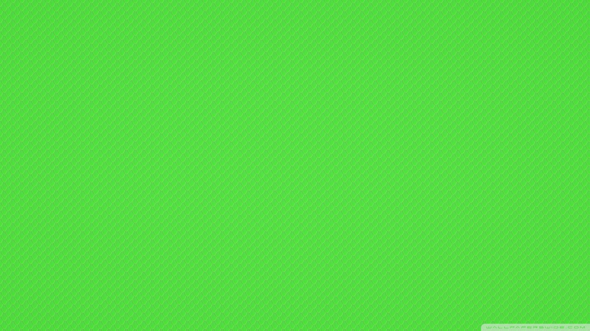 Detail Green Wallpaper Full Hd Nomer 21