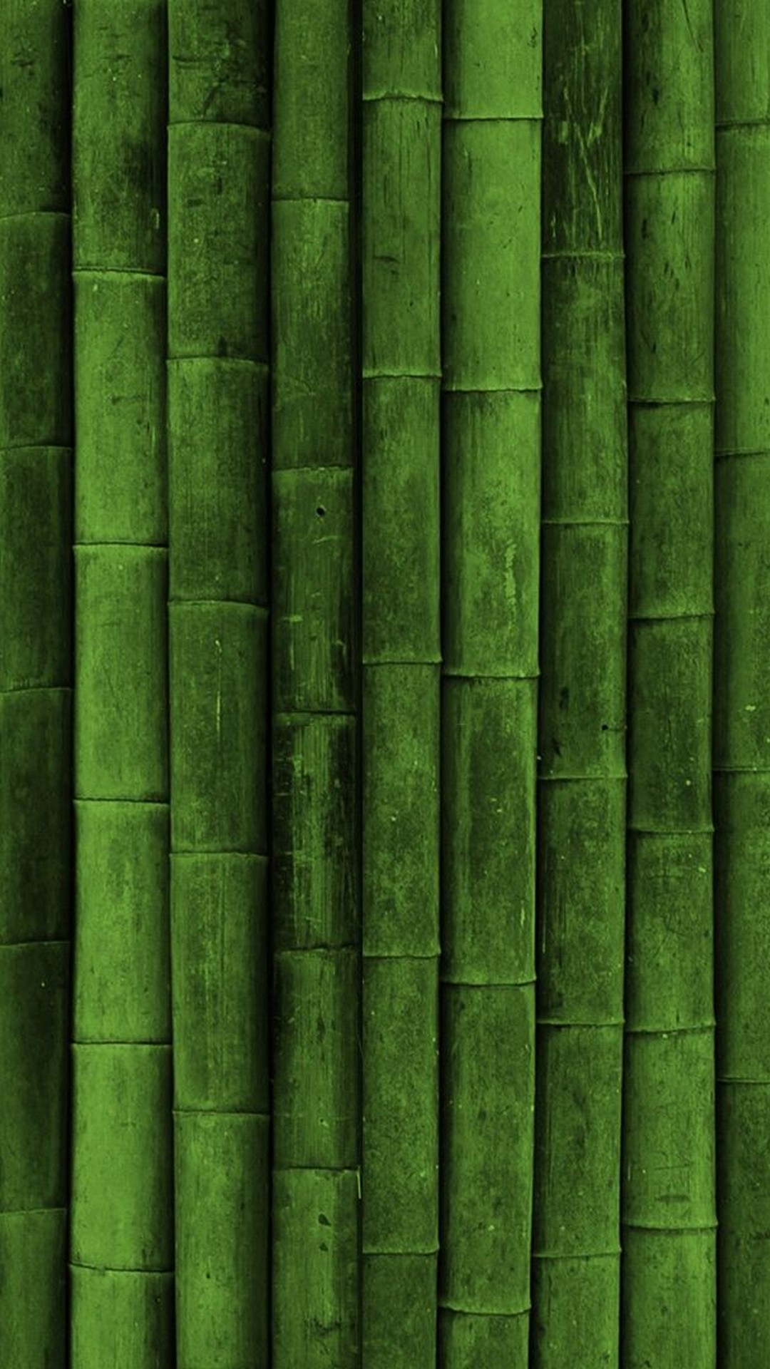 Detail Green Wallpaper Hd Nomer 11