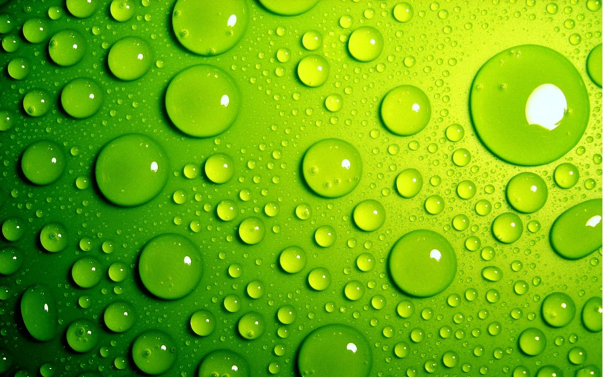 Detail Green Wallpaper Hd Nomer 6