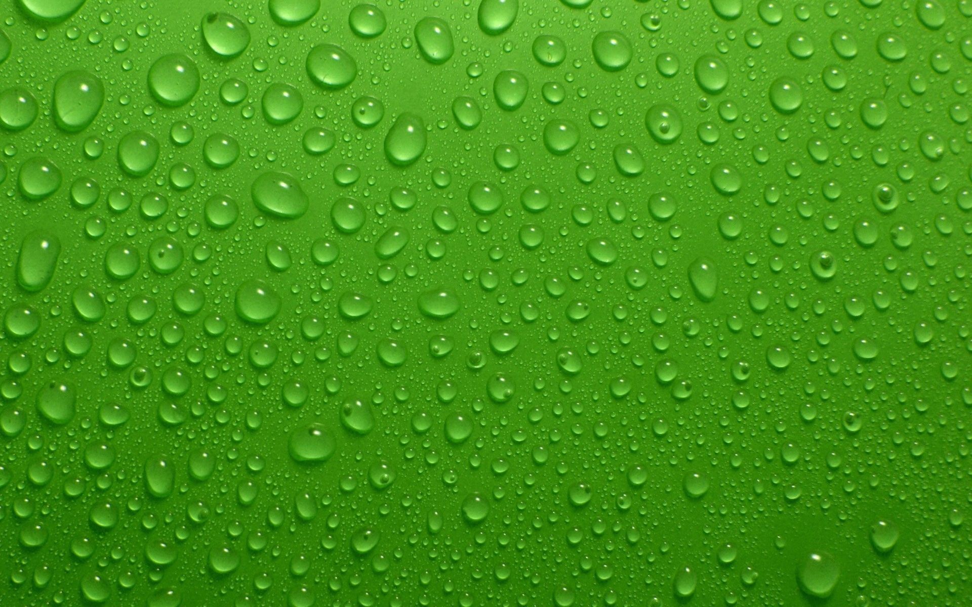 Detail Green Water Background Nomer 3