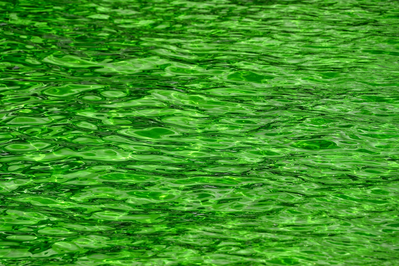 Detail Green Water Background Nomer 23