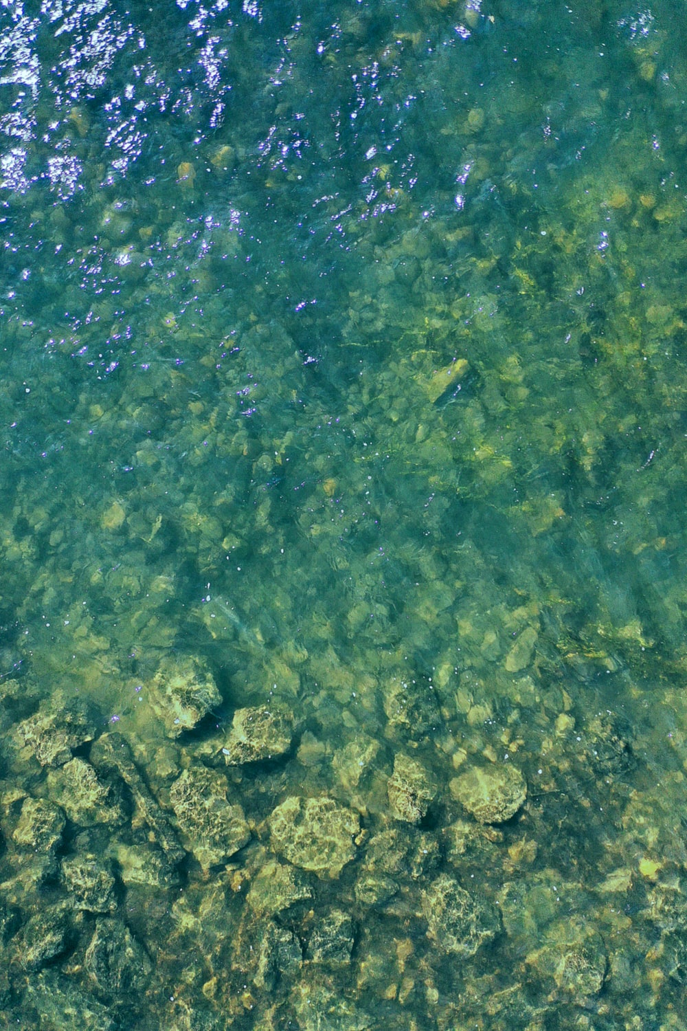 Detail Green Water Background Nomer 28