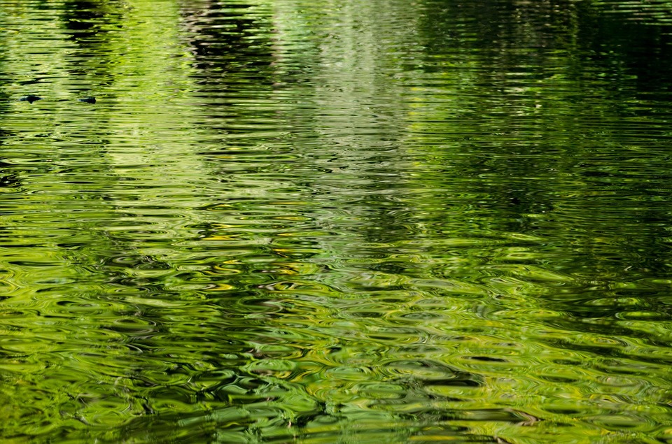 Detail Green Water Background Nomer 36