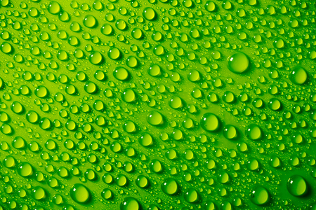 Detail Green Water Background Nomer 7