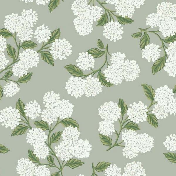 Detail Green White Wallpaper Nomer 16