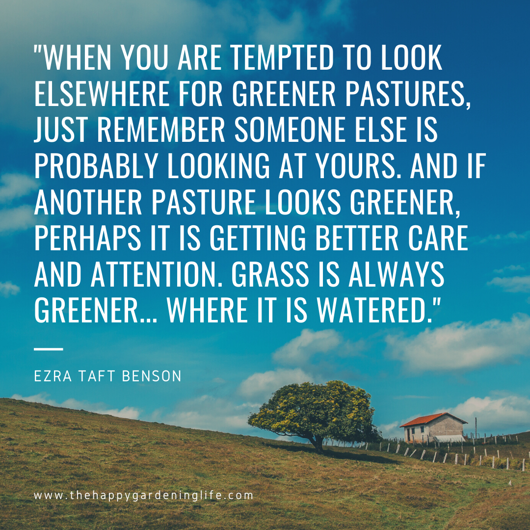 Detail Greener Pastures Quotes Nomer 6