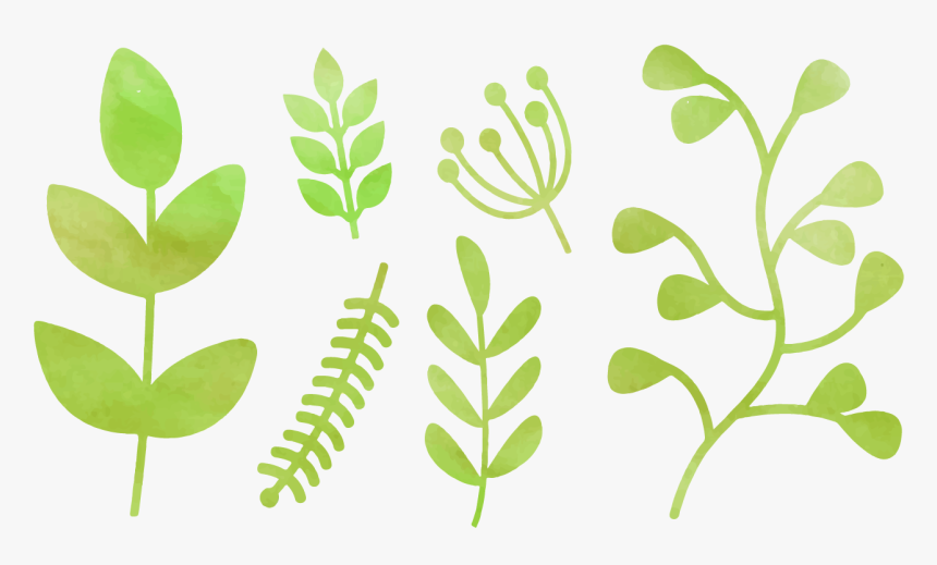 Detail Greenery Clipart Transparent Nomer 49