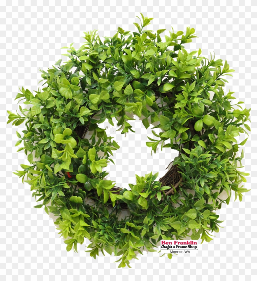 Detail Greenery Wreath Png Nomer 47