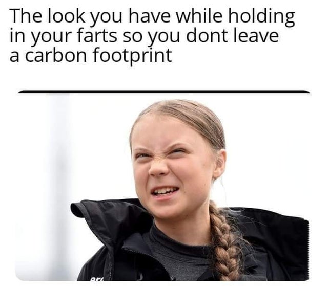 Detail Greta Thunberg Meme Nomer 4