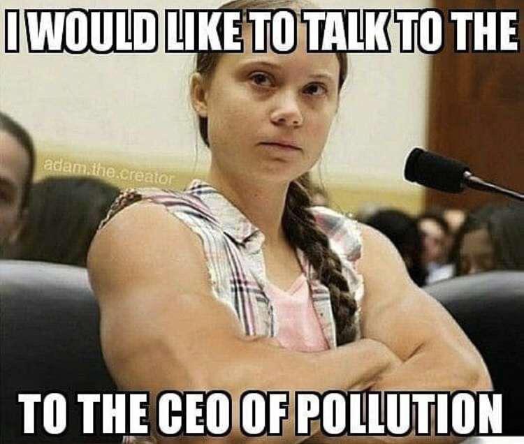 Detail Greta Thunberg Meme Nomer 33