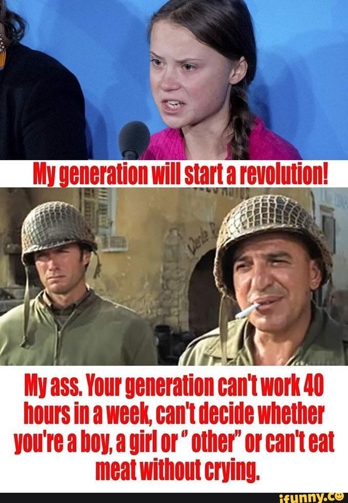 Detail Greta Thunberg Meme Nomer 39
