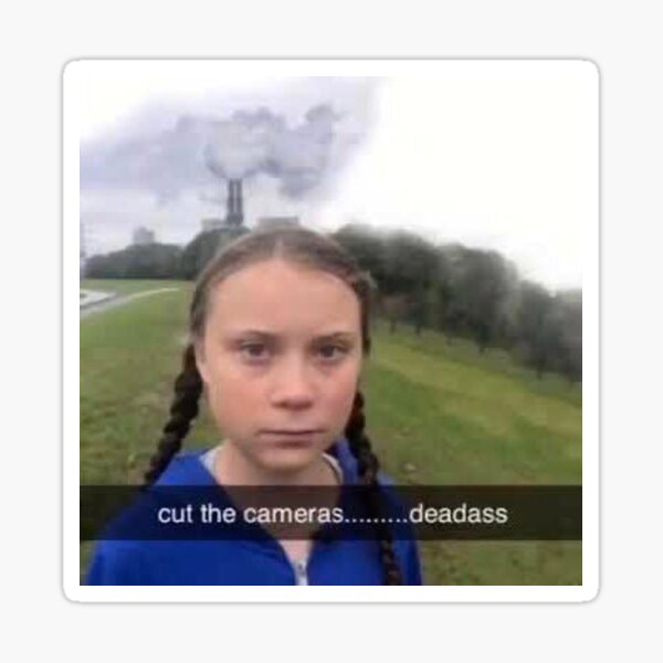 Detail Greta Thunberg Meme Nomer 42
