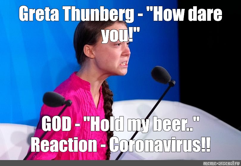 Detail Greta Thunberg Meme Nomer 44