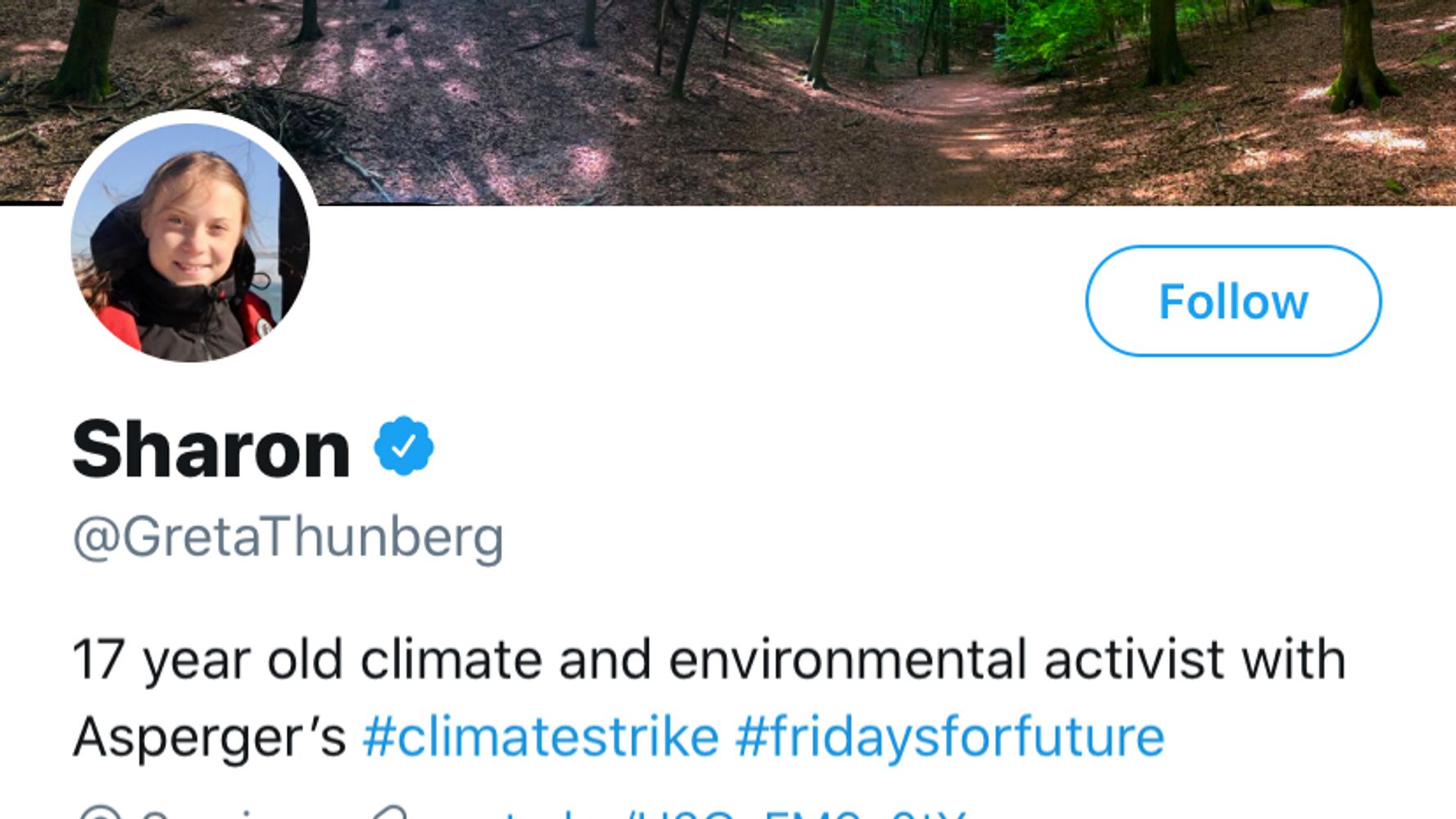 Detail Greta Thunberg Meme Nomer 47