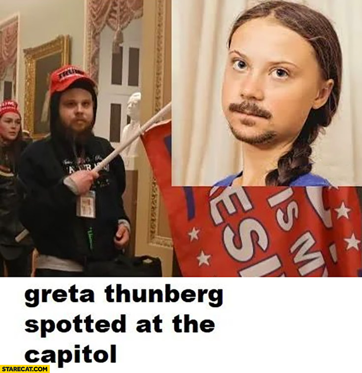 Detail Greta Thunberg Meme Nomer 52