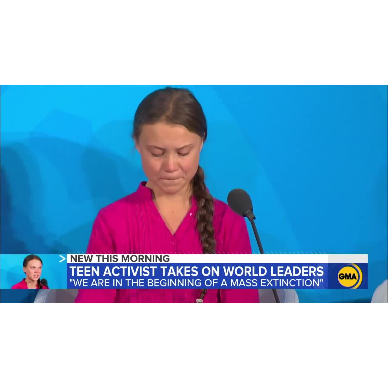 Detail Greta Thunberg Meme Nomer 55