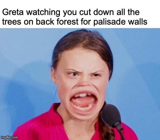 Detail Greta Thunberg Meme Nomer 58