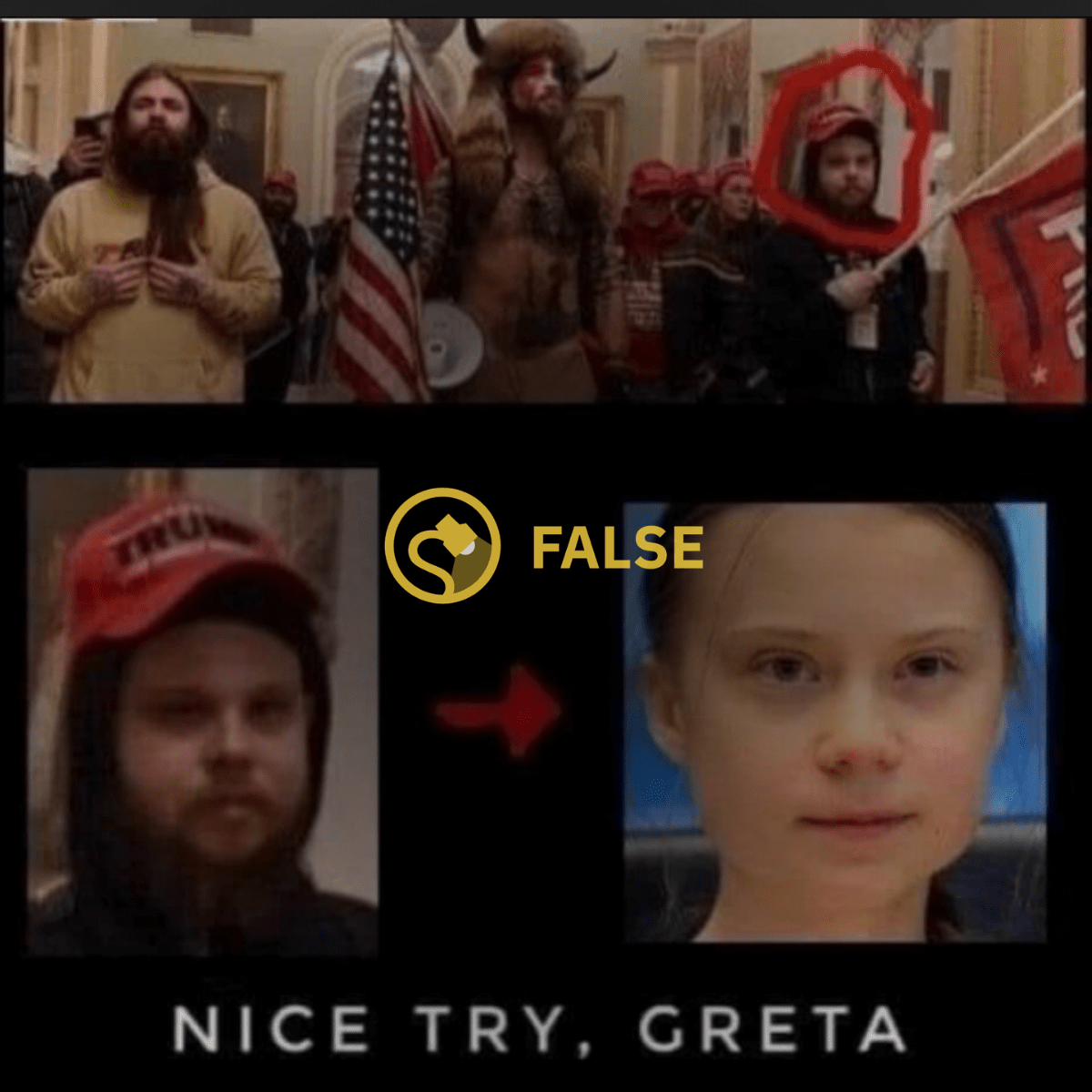 Detail Greta Thunberg Meme Nomer 60