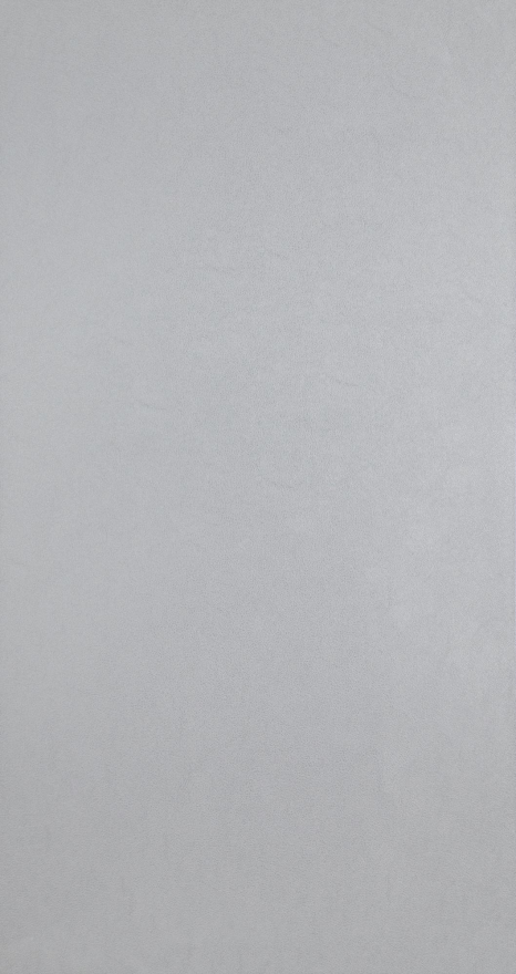 Detail Grey Plain Background Nomer 15