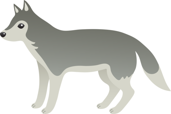 Detail Grey Wolf Png Nomer 52