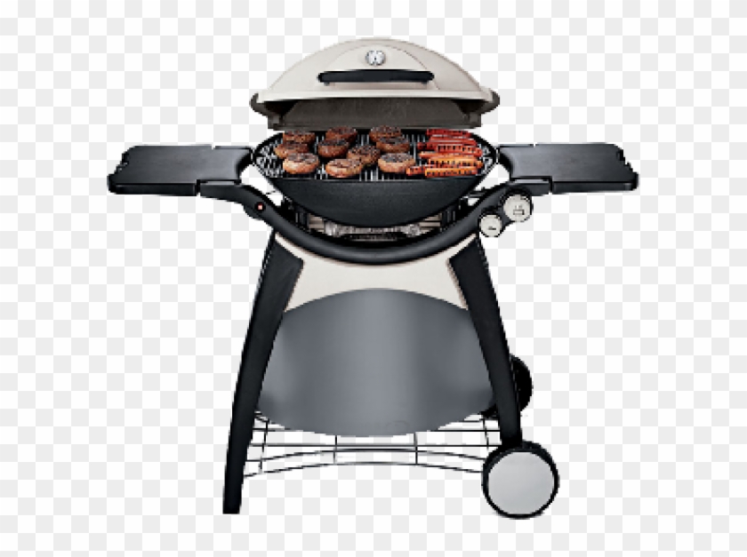 Detail Grill Transparent Background Nomer 13