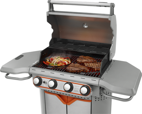 Detail Grill Transparent Background Nomer 30