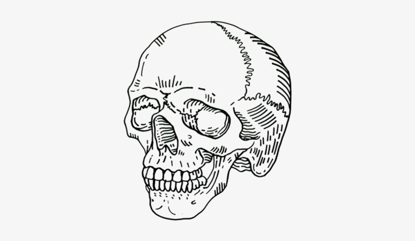 Detail Grim Reaper Skull Drawings Nomer 48