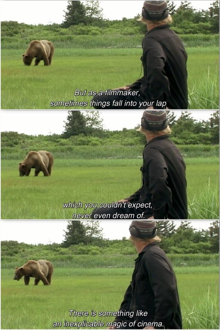 Detail Grizzly Man Quotes Nomer 2