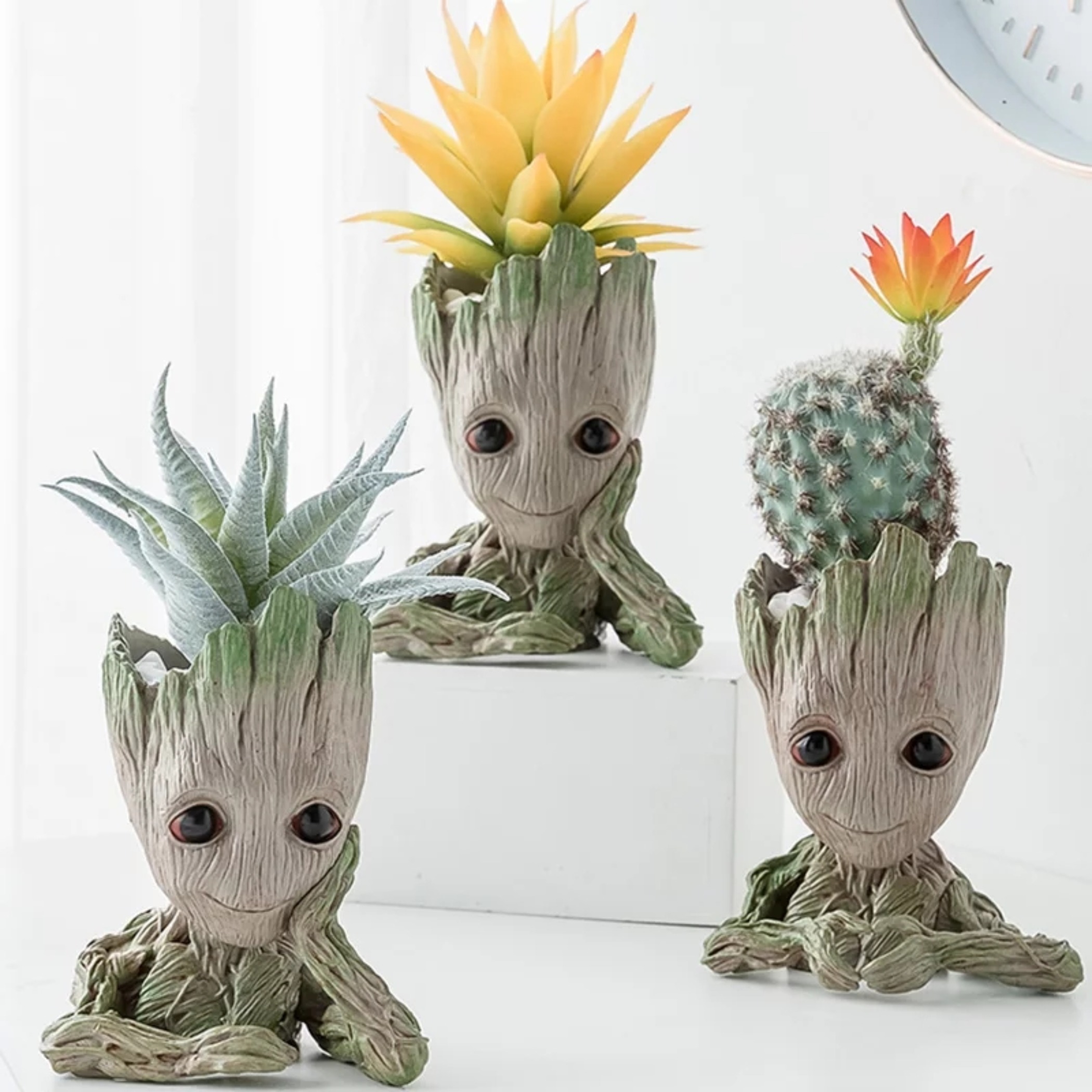 Groot Cactus - KibrisPDR