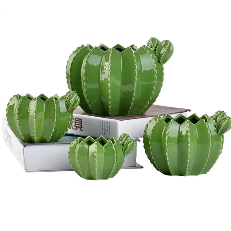 Detail Groot Cactus Nomer 21