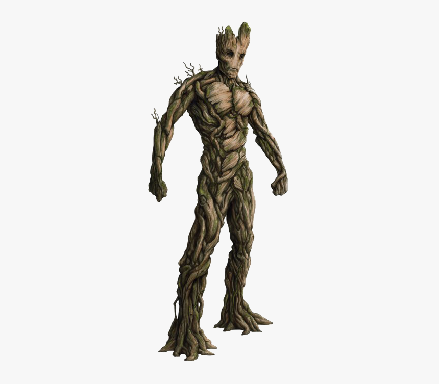 Detail Groot Clipart Nomer 36