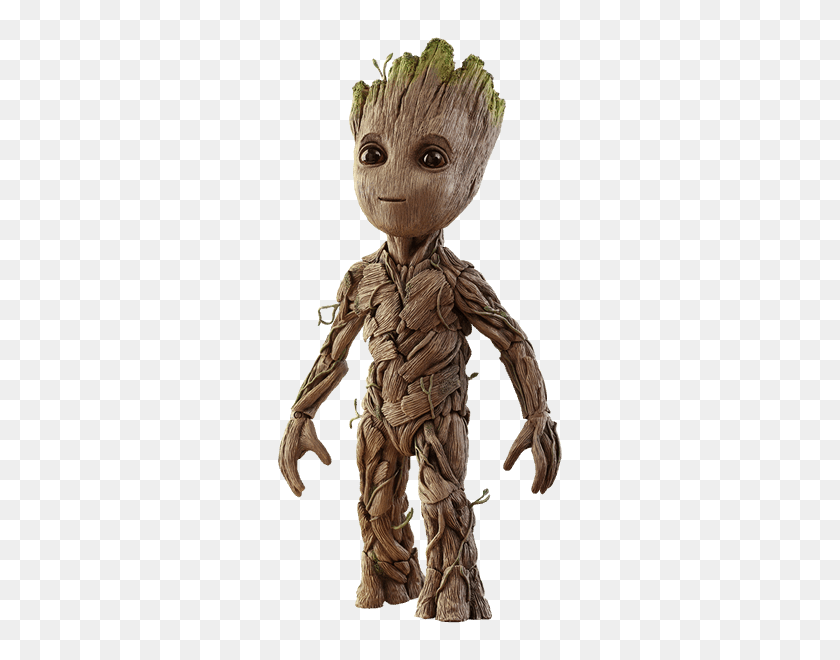 Detail Groot Transparent Nomer 13