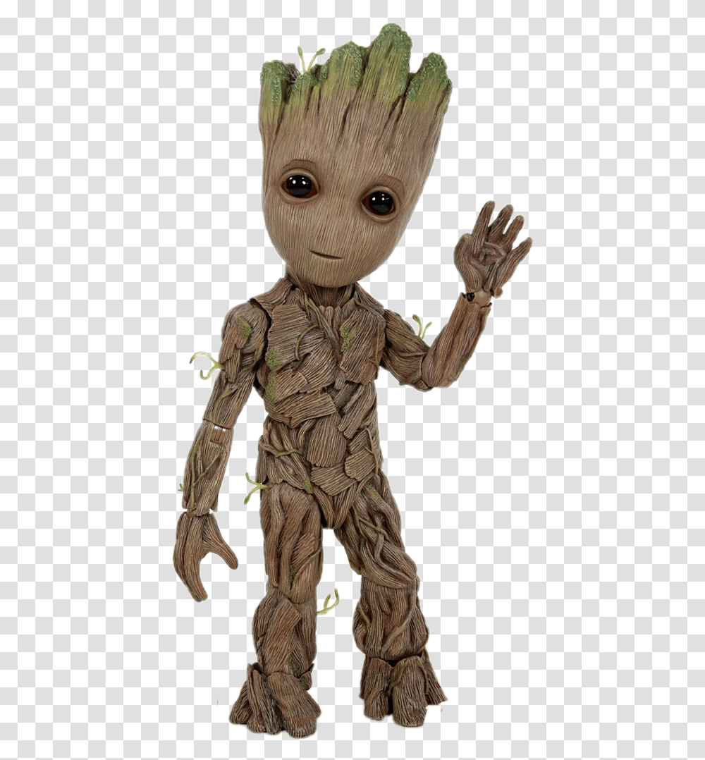 Detail Groot Transparent Nomer 14