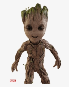 Detail Groot Transparent Nomer 15
