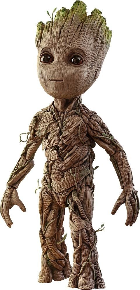 Detail Groot Transparent Nomer 20