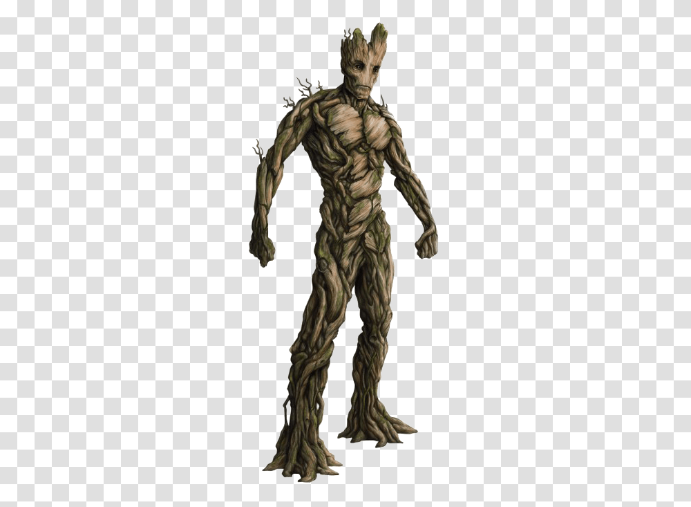 Detail Groot Transparent Nomer 21