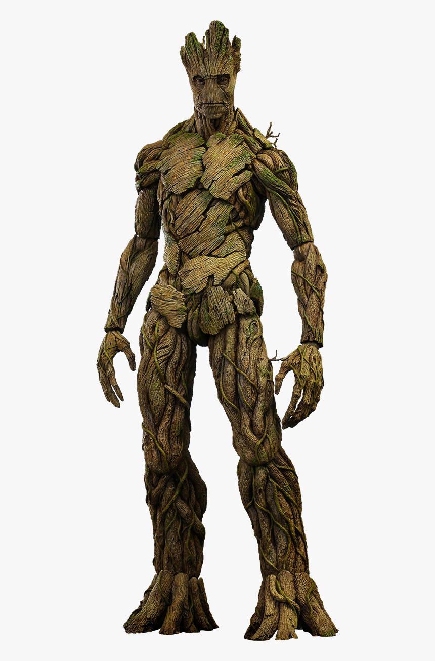 Detail Groot Transparent Nomer 22